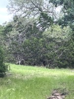 Frio Canyon Real Estate - Martin Martinez