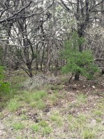 Frio Canyon Real Estate - Martin Martinez