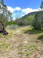 Frio Canyon Real Estate - Martin Martinez