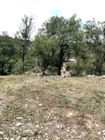 Frio Canyon Real Estate - Martin Martinez