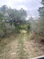 Frio Canyon Real Estate - Martin Martinez
