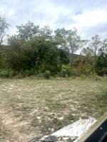 Frio Canyon Real Estate - Martin Martinez