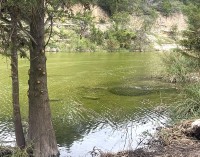 Texas Hill Country and Frio Canyon Properties with Live Water