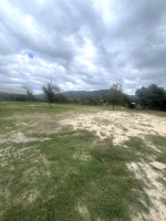 Frio Canyon Real Estate - Martin Martinez