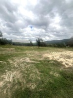 Frio Canyon Real Estate - Martin Martinez