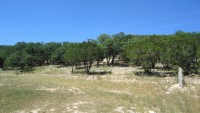 Frio Canyon Real Estate - Martin Martinez