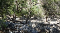 Frio Canyon Real Estate - Martin Martinez