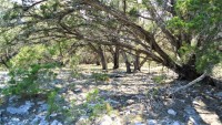 Frio Canyon Real Estate - Martin Martinez