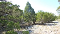 Frio Canyon Real Estate - Martin Martinez