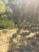 Frio Canyon Real Estate - Martin Martinez