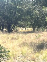 Frio Canyon Real Estate - Martin Martinez