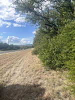 Frio Canyon Real Estate - Martin Martinez