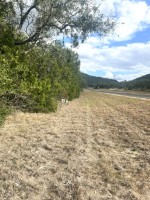 Frio Canyon Real Estate - Martin Martinez