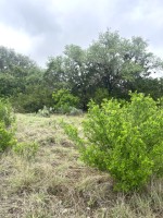 Frio Canyon Real Estate - Martin Martinez